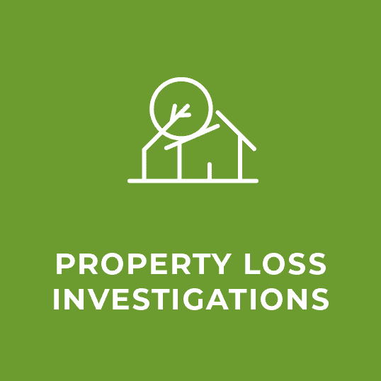 property-loss-icon